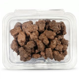 Albanese Gummi Bears, Choose Your Flavor, 1 lb Container | Milk Chocolate Covered Gummi Bears