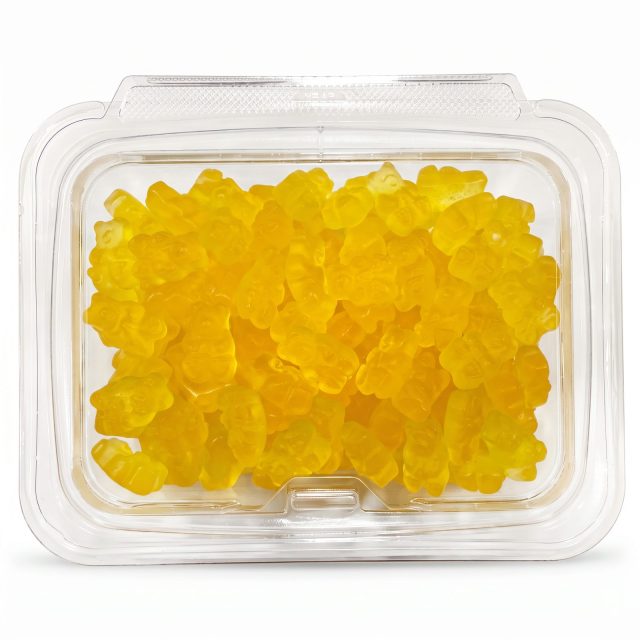 Albanese Gummi Bears, Choose Your Flavor, 1 lb Container | Mango
